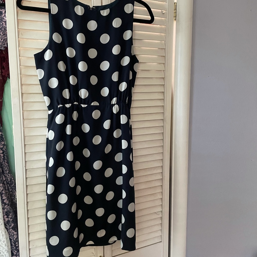 J Crew Factory Polka Dot Dress